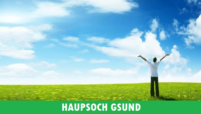 Haupsoch Gsund Haupsoch Gsund