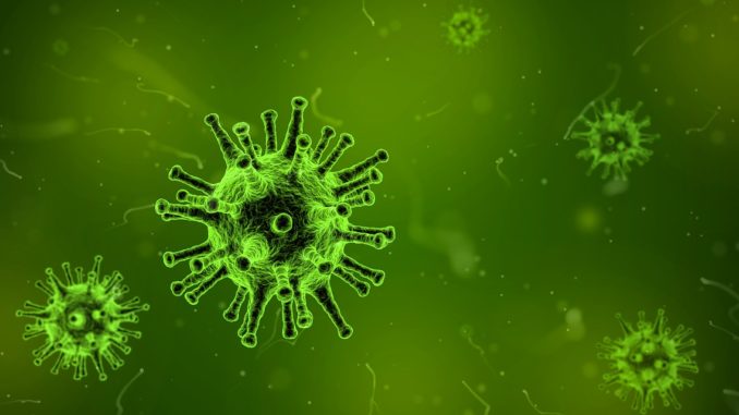 grippevirus