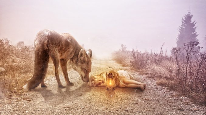fox-1735658_960_720
