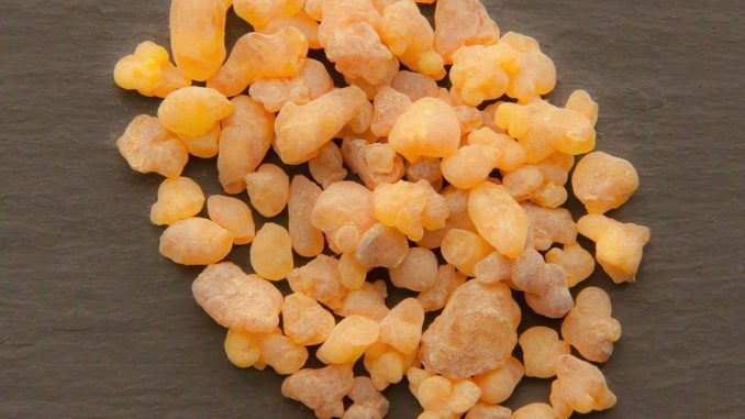 boswellia-sacra-1590063_960_720