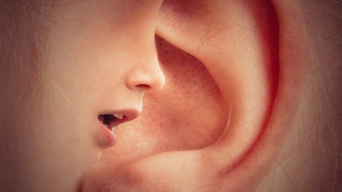 ear-3971050_960_720