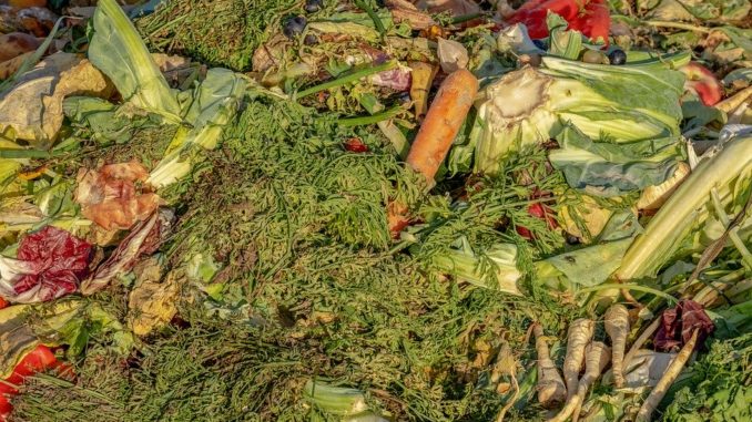 compost-3663514_960_720