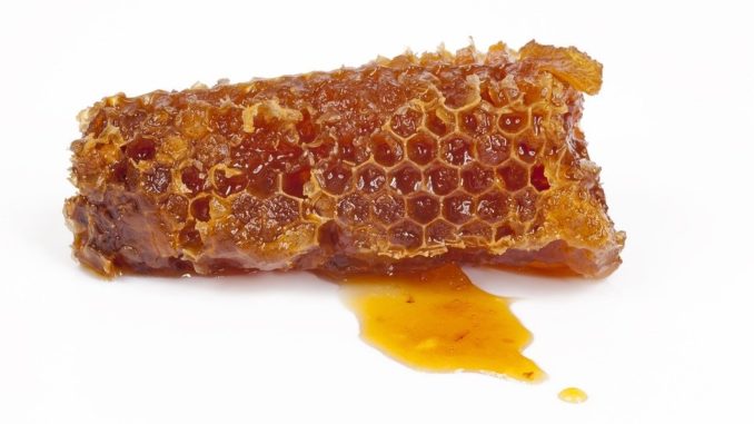 honeycomb-2113867_960_720