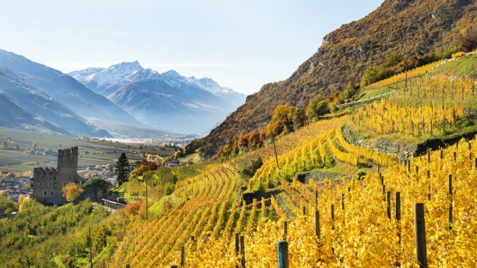 Herbst-Hochnaturns, TG Naturns Maria Gapp